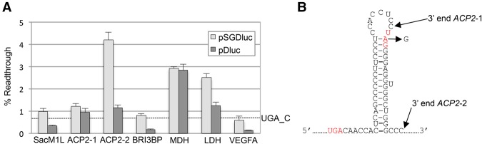 FIGURE 4.