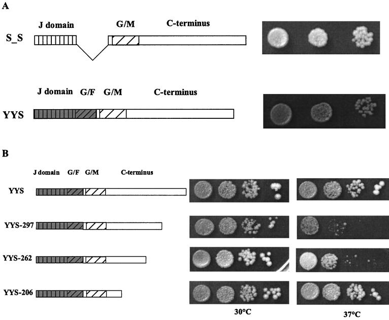 FIG. 5