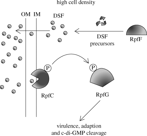 Figure 3.