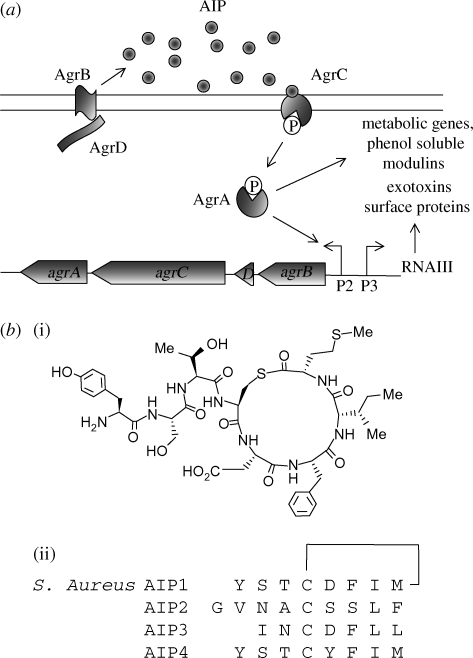 Figure 5.