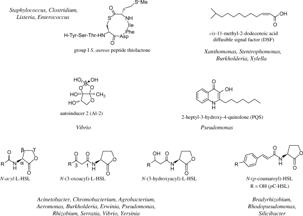 Figure 1.