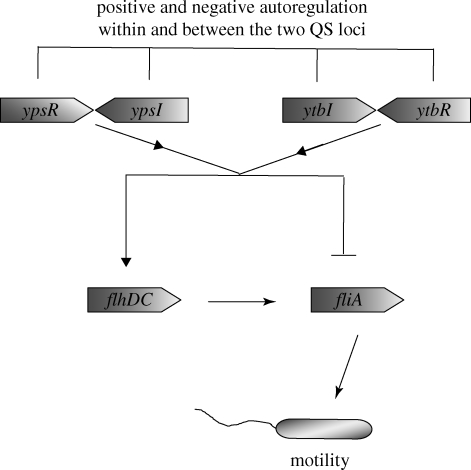 Figure 2.