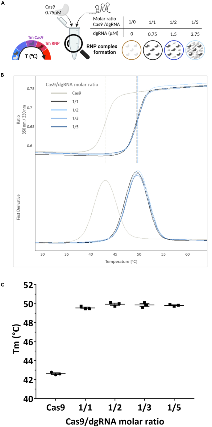 Figure 5