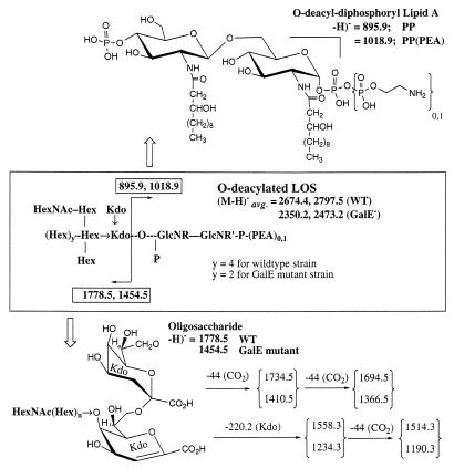 FIG. 5