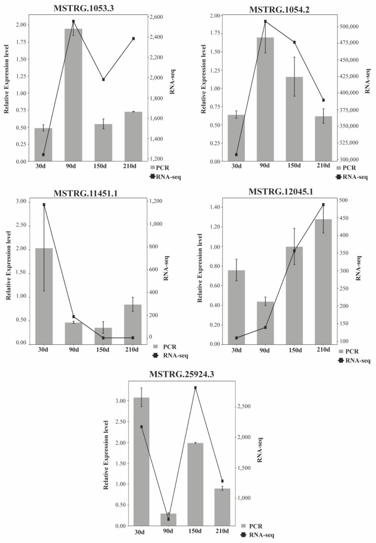 Figure 6