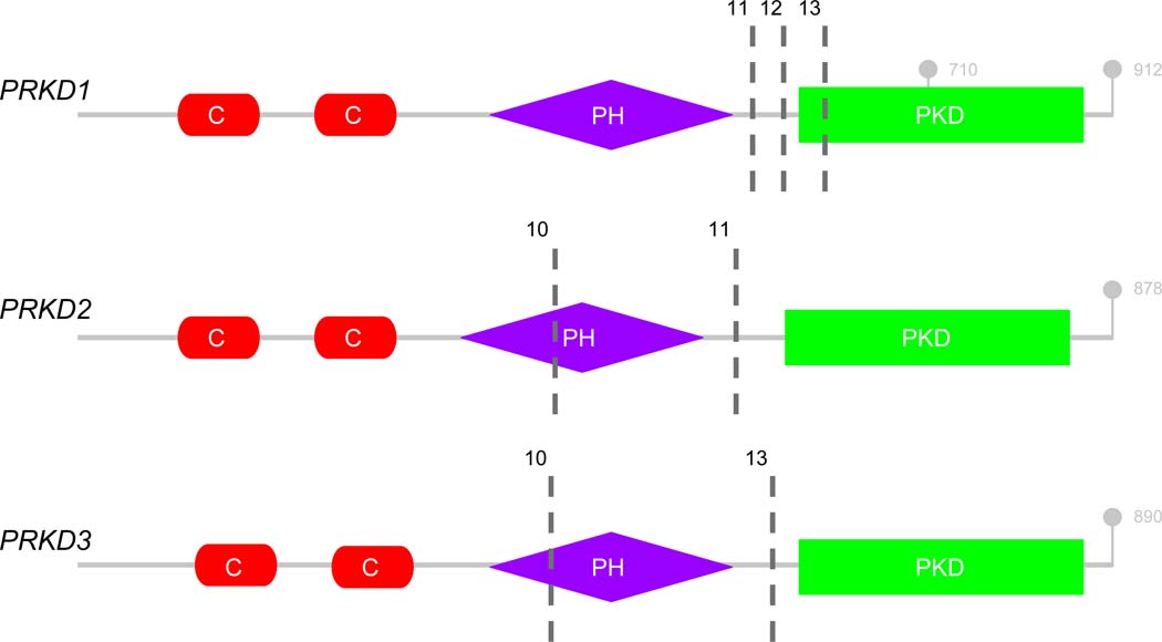 Figure 4: