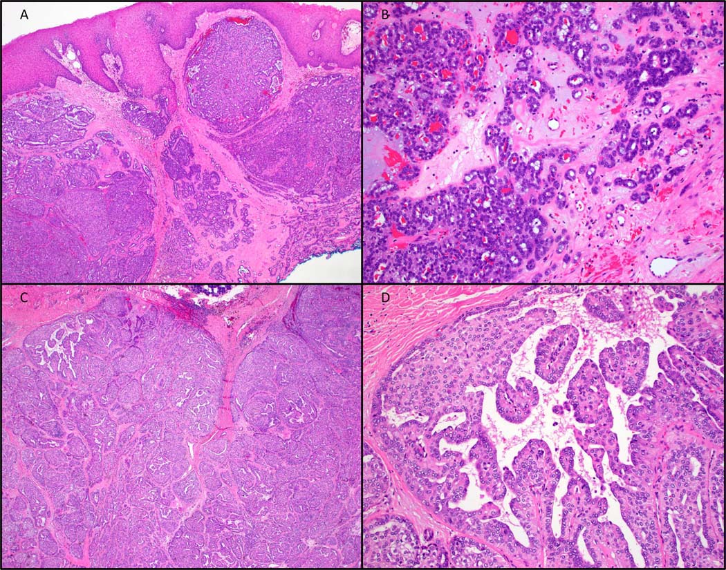 Figure 2: