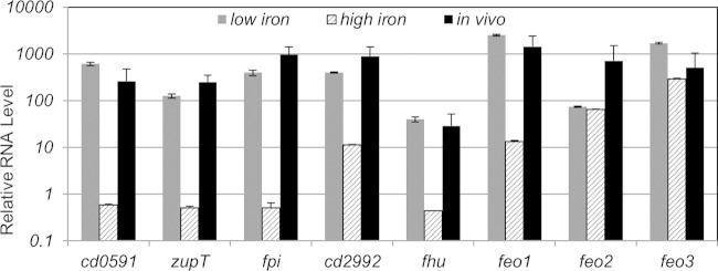 FIG 4