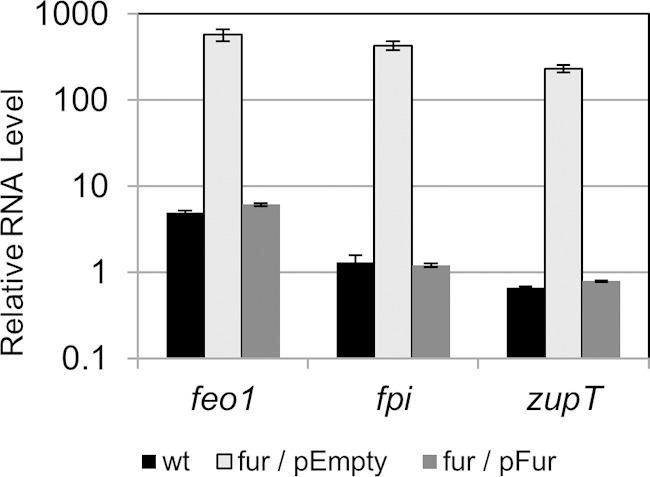 FIG 2