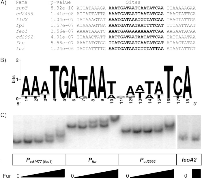 FIG 3