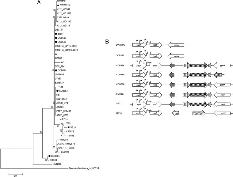 FIG 3