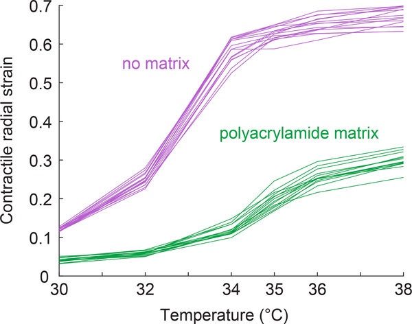 Figure 6: