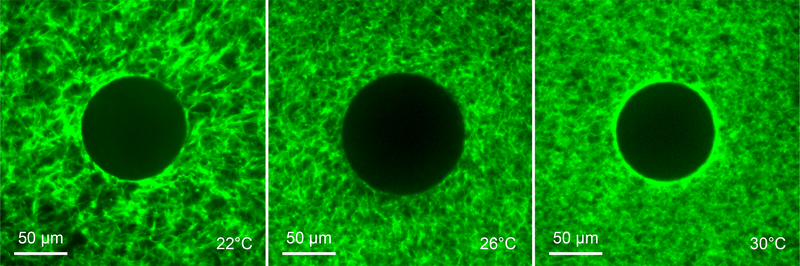 Figure 5: