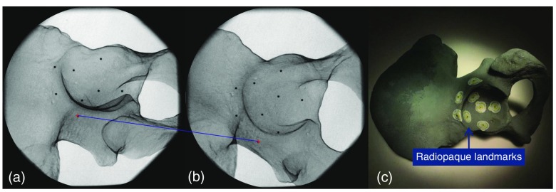 Fig. 5