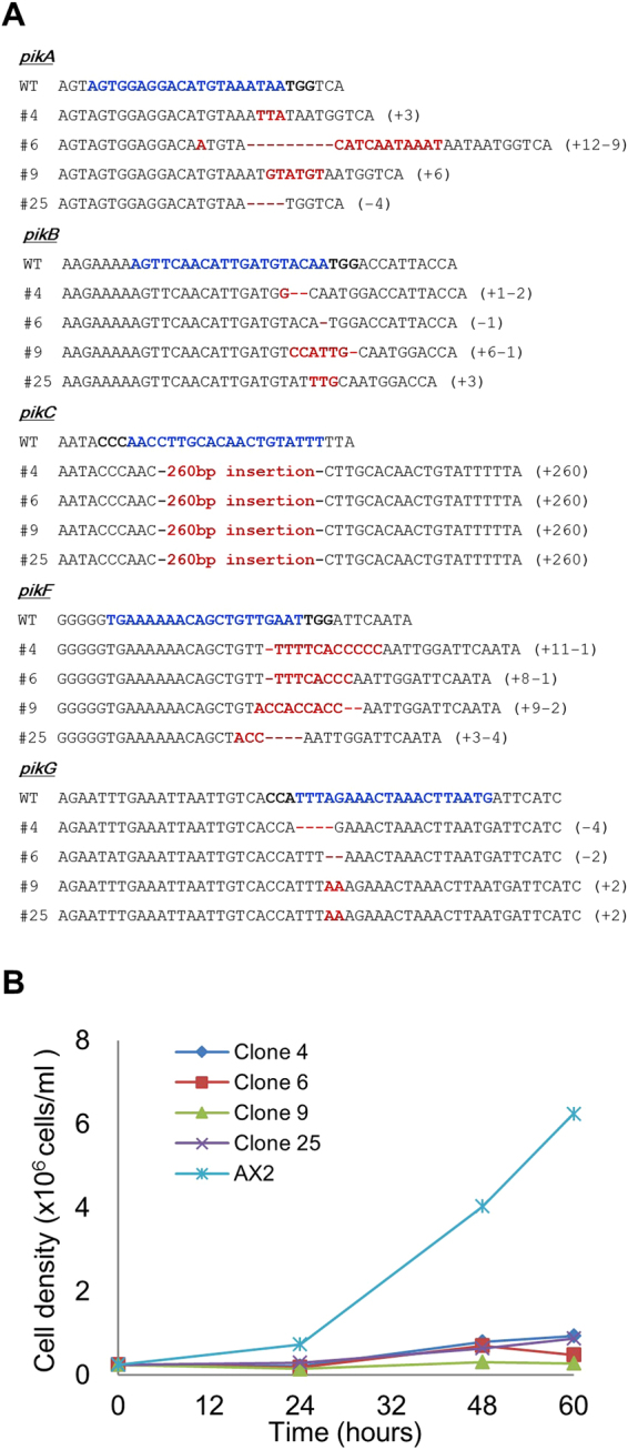 Figure 5