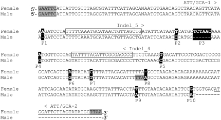 Figure 3.—