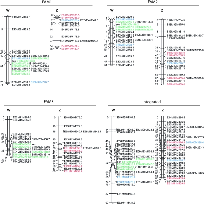 Figure 1.—