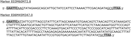 Figure 2.—