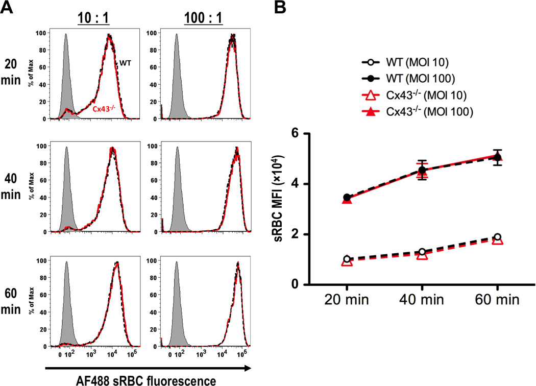 FIGURE 3