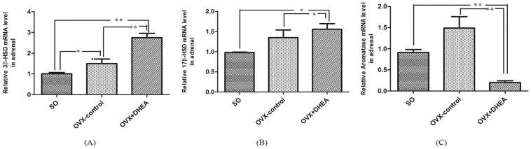 Fig 5