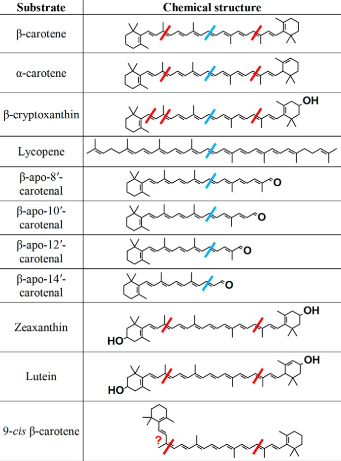 FIGURE 11.