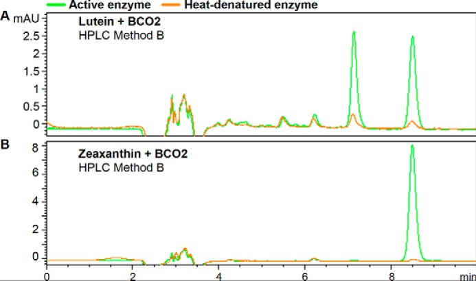 FIGURE 10.