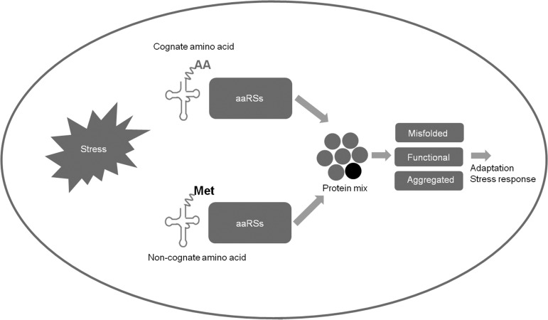 FIGURE 1