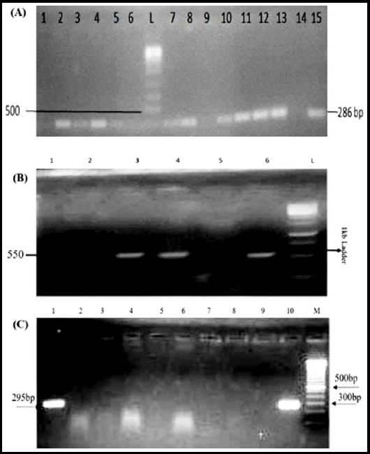 Fig.2