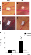 Fig. 6