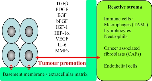 Fig. 2