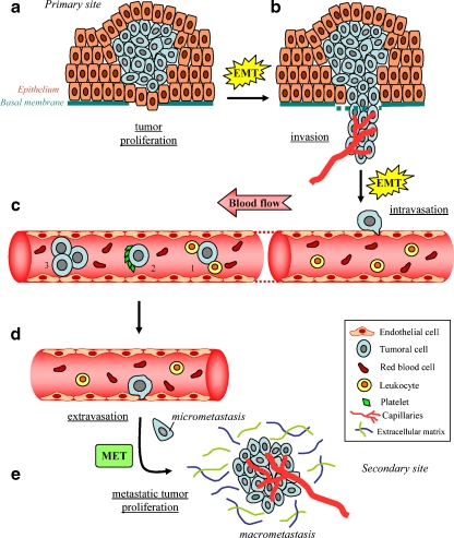 Fig. 6