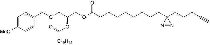 graphic file with name pnas.1611096114sfx06.jpg