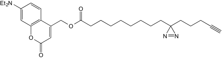 graphic file with name pnas.1611096114sfx03.jpg