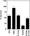 Fig. 12.