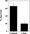 Fig. 10.