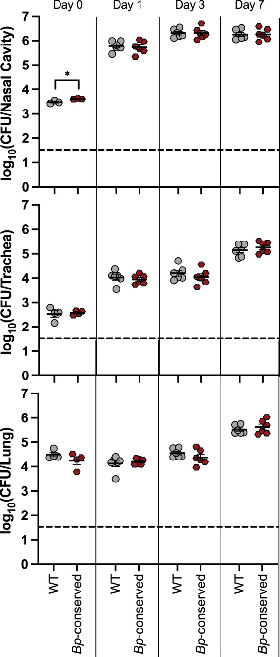 Fig 4