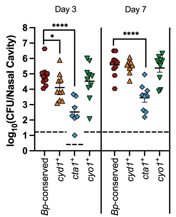 Fig 6