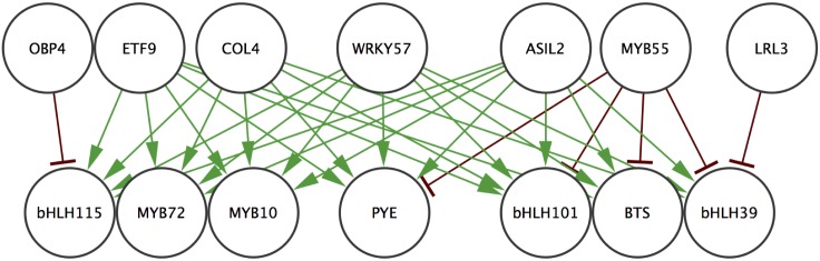 Fig 6