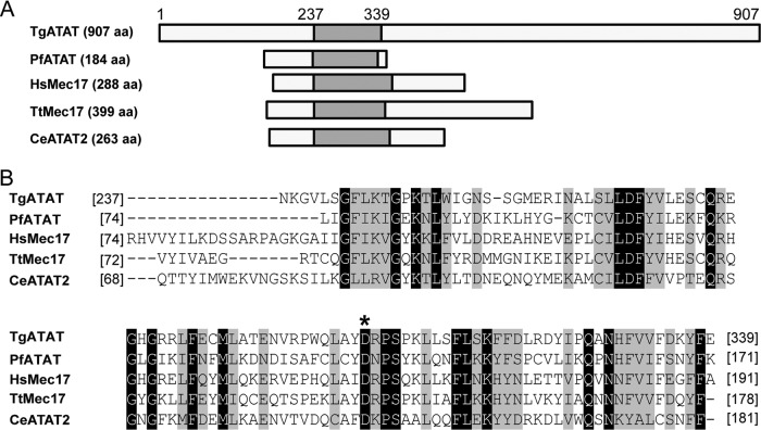 FIG 3 