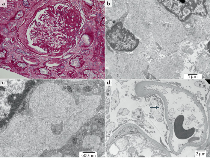 Fig. 5