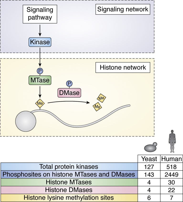 Figure 6