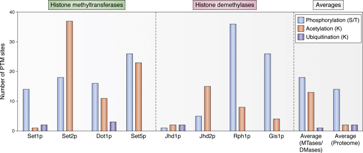 Figure 4