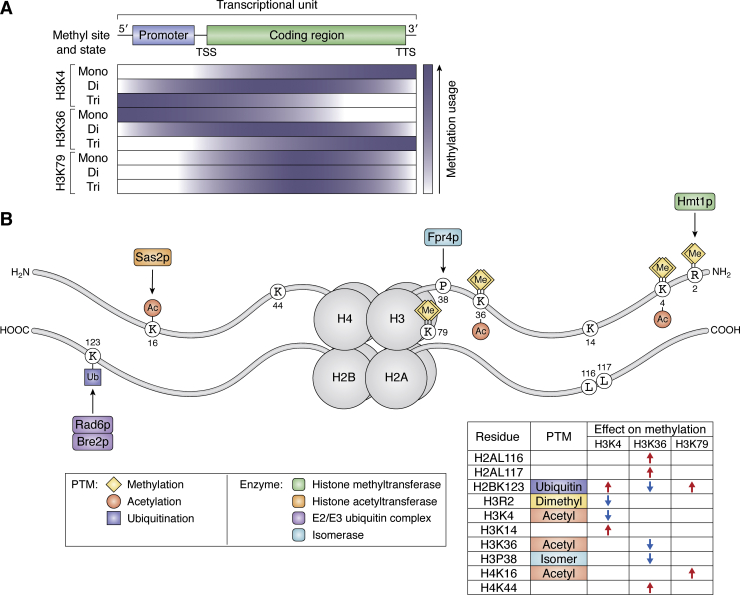 Figure 2