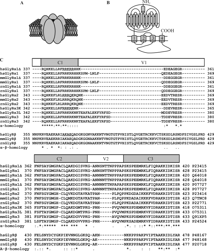 FIGURE 1.