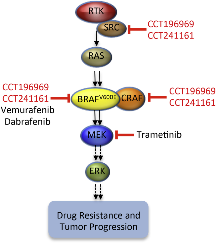 Figure 7