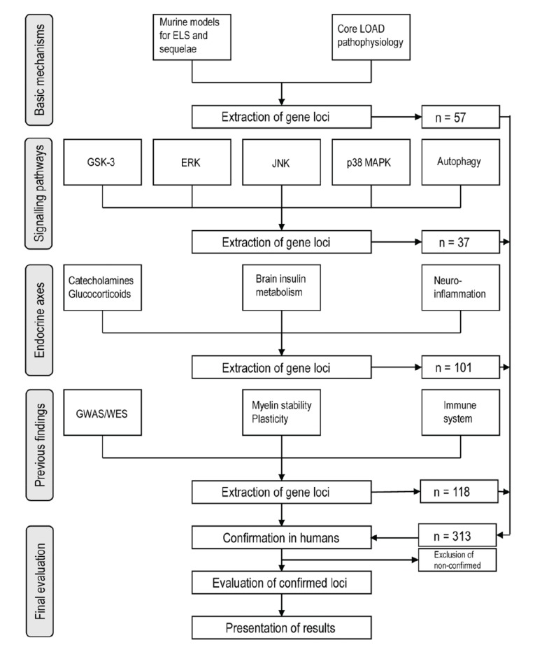 Fig. (1)