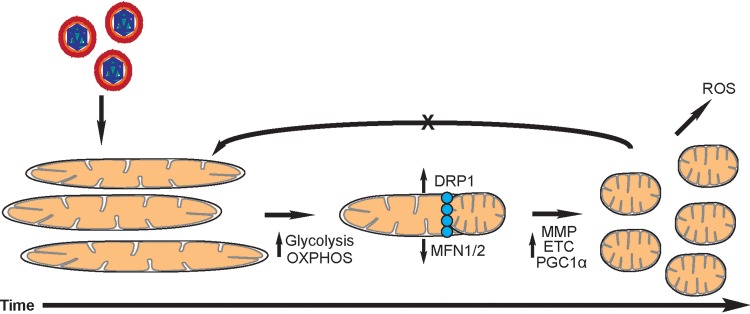 FIG 10