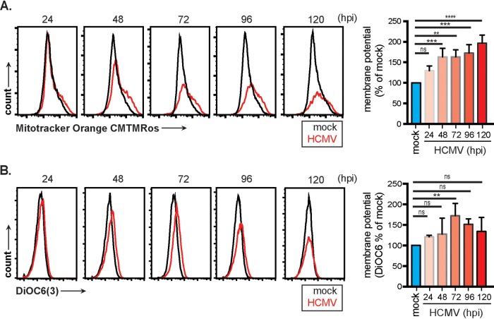 FIG 3