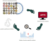Graphical Abstract