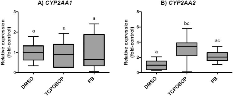 Fig.4